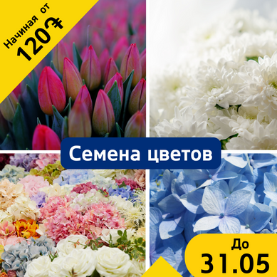 Акция по снижению цен на СЕМЕНА овощей, зелени и цветов с 16.06.28 по 31.05.24