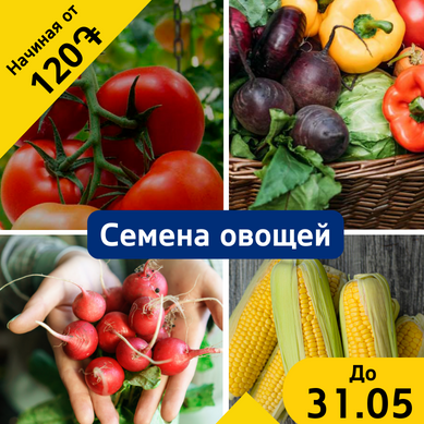 Акция по снижению цен на СЕМЕНА овощей, зелени и цветов с 16.06.28 по 31.05.24